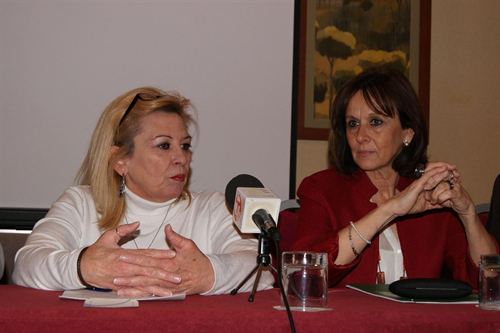 FEAFES Andalucía cumple 20 años