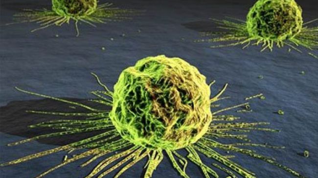 Uno de cada seis cánceres que se detectan en el mundo podría evitarse por su origen infeccioso