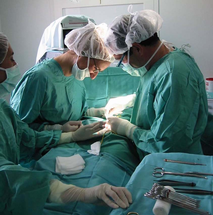 España alcanza un nuevo récord en trasplantes