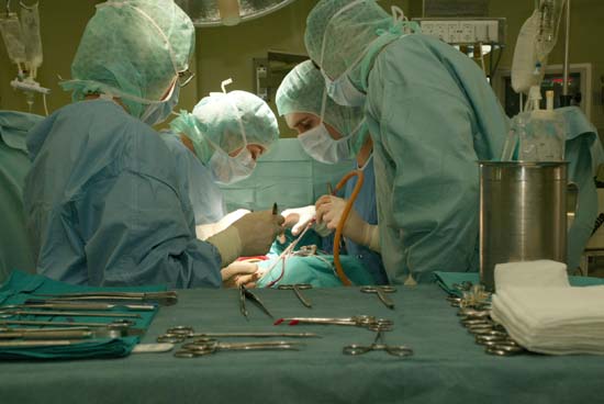 En 2011 se realizaron 106.879 trasplantes de órganos en el mundo