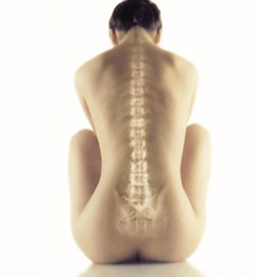 España necesita un sistema estatal de atención integral del lesionado medular