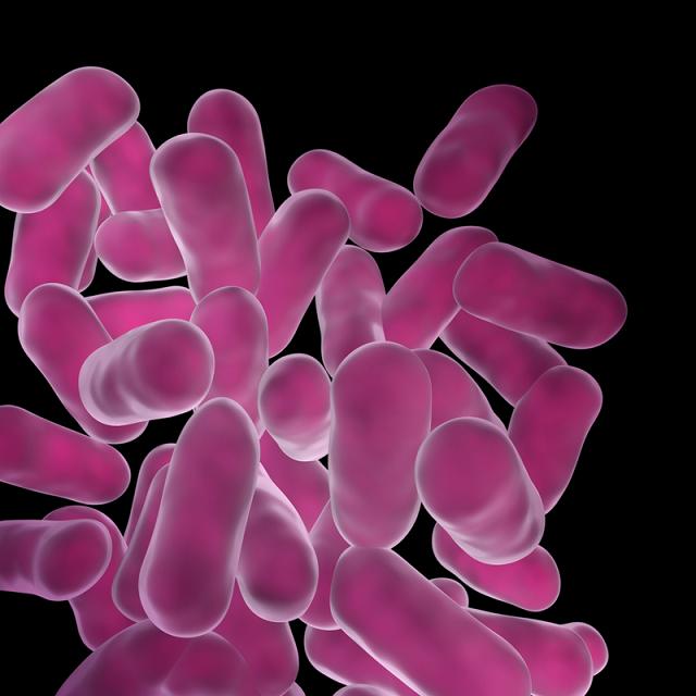 Los alimentos probióticos no protegen a los bebés frente al desarrollo de alergias