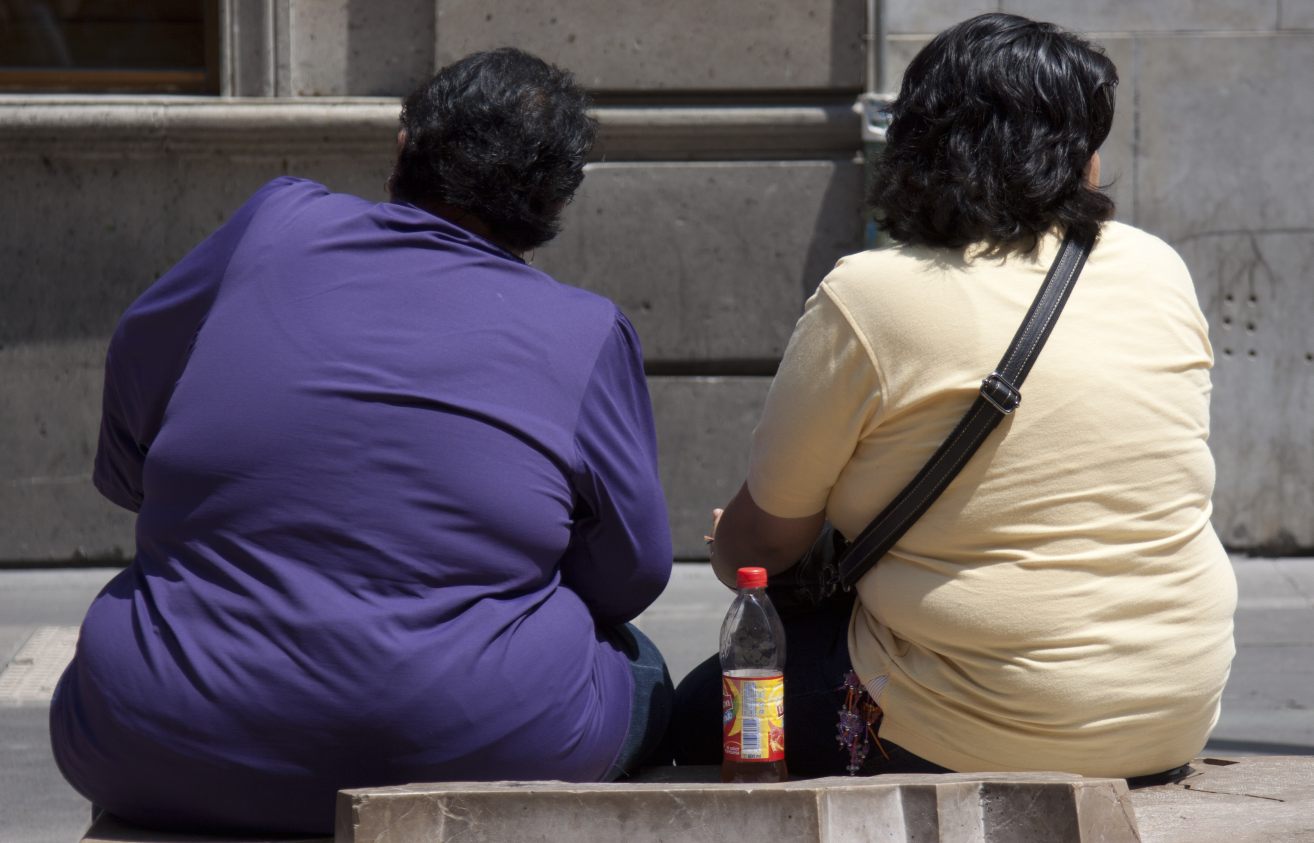 Luz verde del Gobierno al Observatorio de la Nutrición y de Estudio de la Obesidad