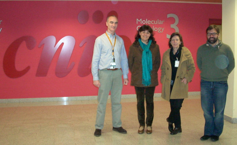 En la foto: Antonio López (gerente del Programa Clínico) y Juan J. Gómez (Director de Comunicación) con la presidenta y secretaria de ASACO, después de la reunión con los investigadores Javier Benítez (Director del Programa de Genética del Cáncer Humano) y Mª José García (Investigadora del grupo de Genética Humana, actualmente trabajando en cáncer de ovario) .