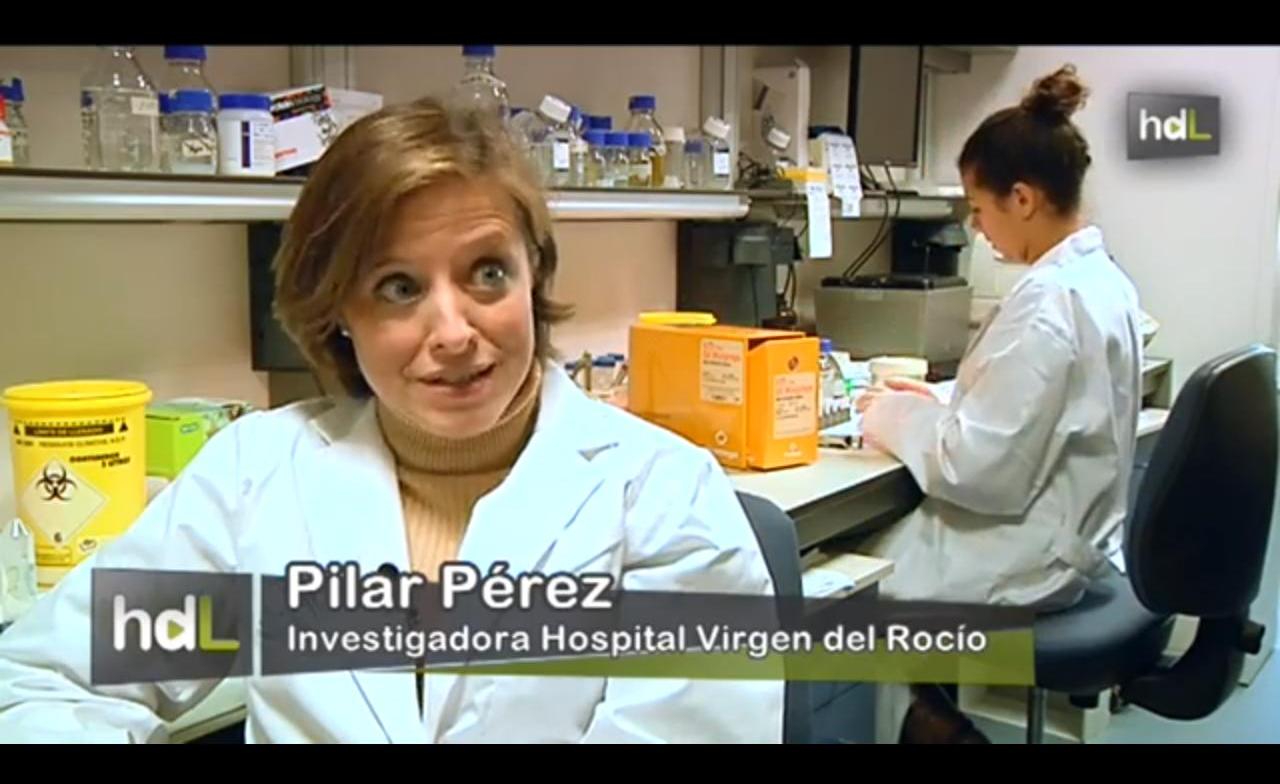 Investigadores sevillanos trabajan en una vacuna contra la ‘bacteria de la UCI’