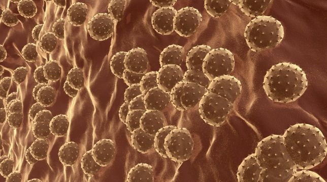 CESIDA denuncia trabas en el acceso a las nuevas terapias contra la hepatitis C