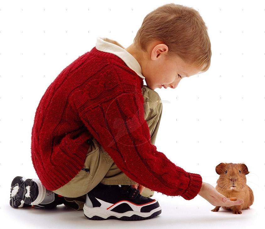 Las mascotas fomentan las conductas sociales positivas de los niños con autismo