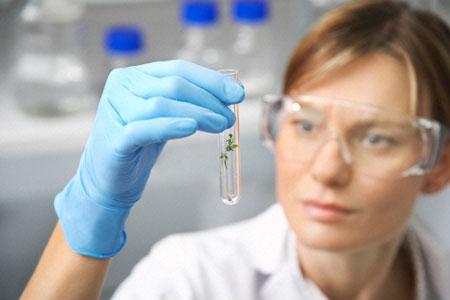 Incorporar los paliativos al proceso de ensayos clínicos en pacientes con cáncer avanzado mejora su bienestar