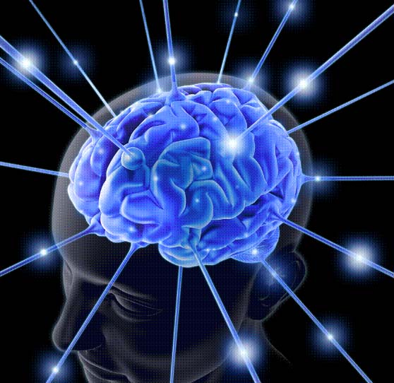 Este viernes se celebra el Día Nacional de la Epilepsia