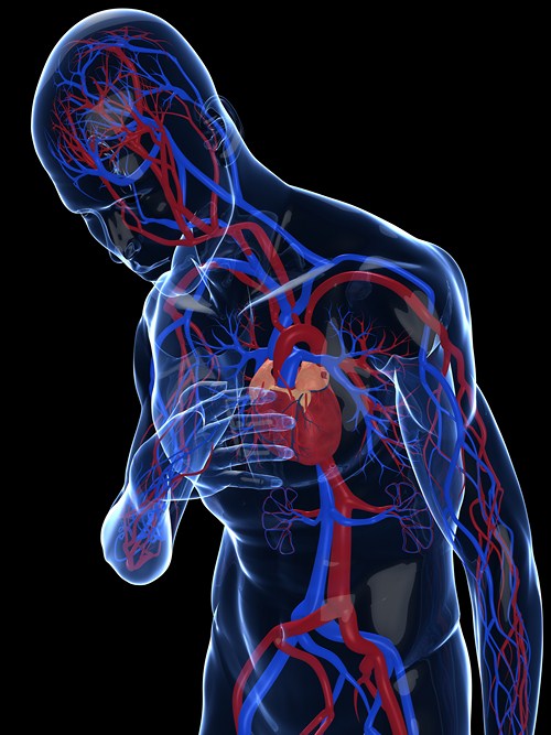La tasa de la insuficiencia cardiaca crece más de un 30% en la última década
