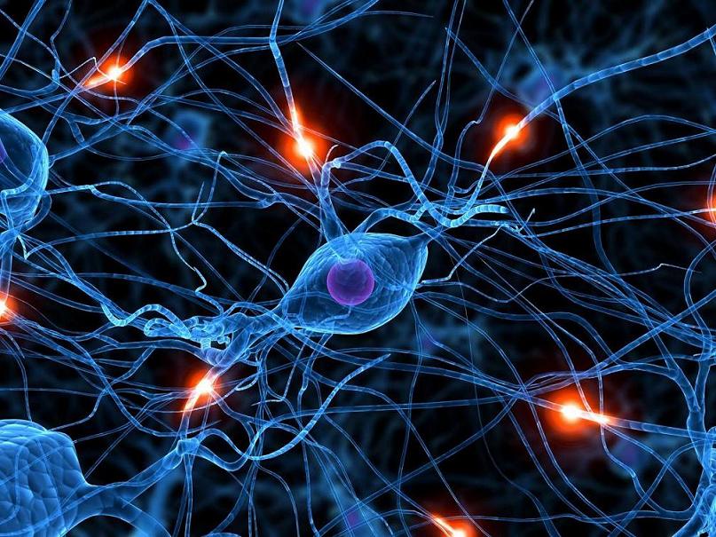 Más I+D y menos recortes en el Día Mundial de la Esclerosis Lateral Amiotrófica