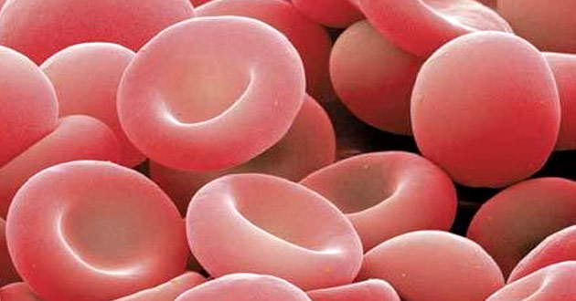 Este viernes se celebra el Día Europeo y Nacional de la Hemocromatosis