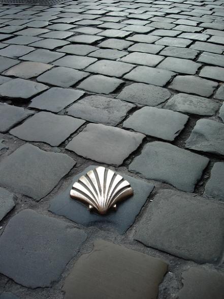 Paseo en Burgos del Camino de Santiago por las enfermedades raras
