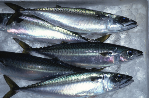 El consumo de pescado azul también protege frente al cáncer de mama