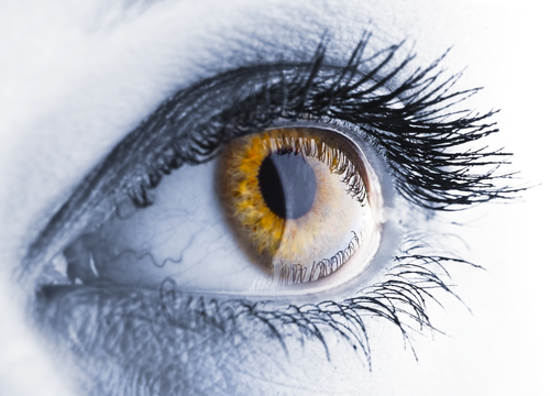 Manifiesto de la FARPE en el Día Internacional de la Retinosis Pigmentaria