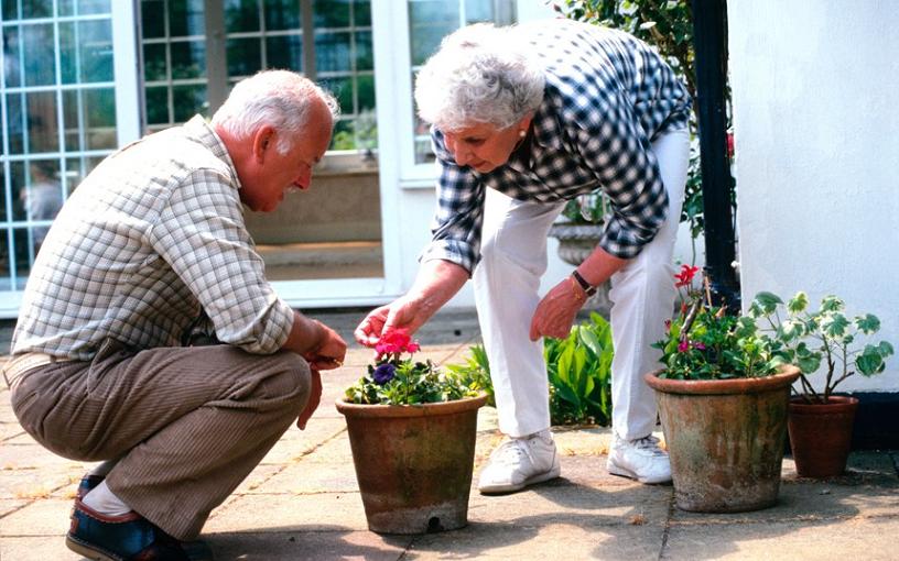 El bricolaje y la jardinería reducen el riesgo de infarto e ictus en los mayores
