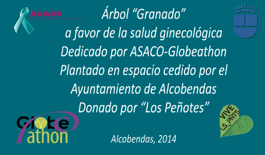 Placa Granado cancer ginecologico ovario ASACO 2014