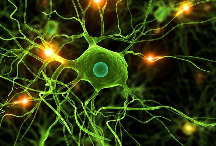 Dos de cada tres pacientes con Parkinson no recibe ayudas a la dependencia