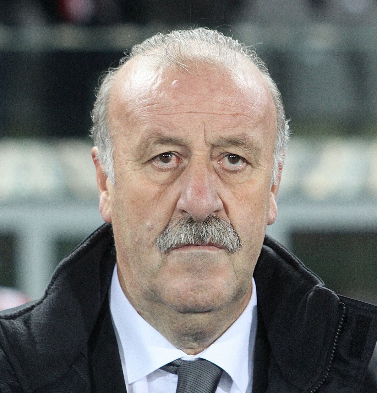 Del Bosque: “Es mejor hablar de capacidades diferentes que de discapacidades”