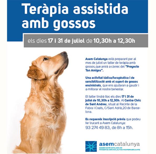 Taller de terapia asistida con perros de ASEM Catalunya