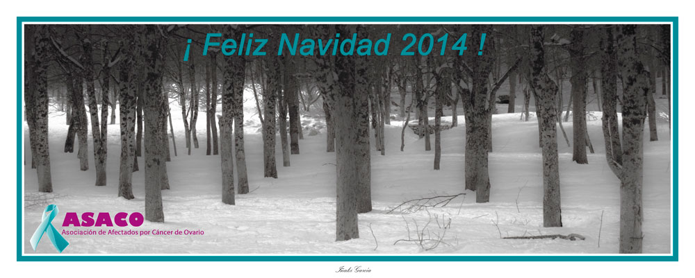 ASACO Navidad 2014