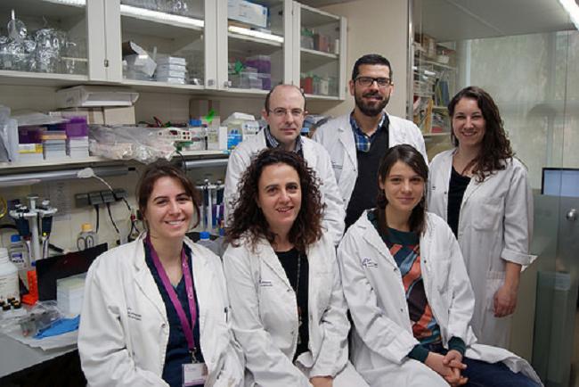 La FEP concede su VII Premio al mejor artículo de investigación en Parkinson