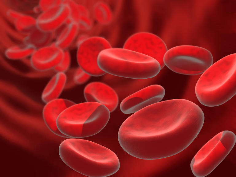 Ayudas complementarias para pacientes con hemofilia y VHC en Cantrabria