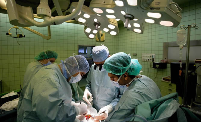 Los pacientes trasplantados agradecen la solidaridad de los españoles