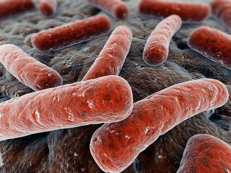La tuberculosis fue responsable de 1,5 millones de muertes en 2013