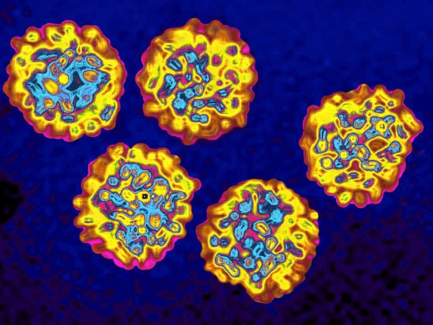 Hacienda financiará los nuevos tratamientos para la hepatitis C