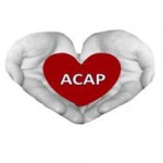 A.C.A.P.