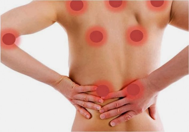 II Jornadas Internacionales para el estudio de la Fibromialgia
