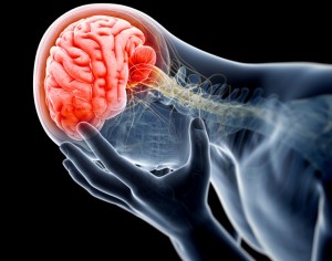 Dolor-y-cerebro
