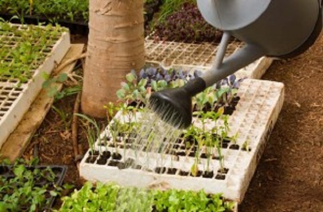 Integración laboral y formación en agroecología de AFES Salud Mental
