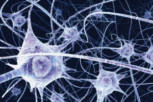 Neuronas