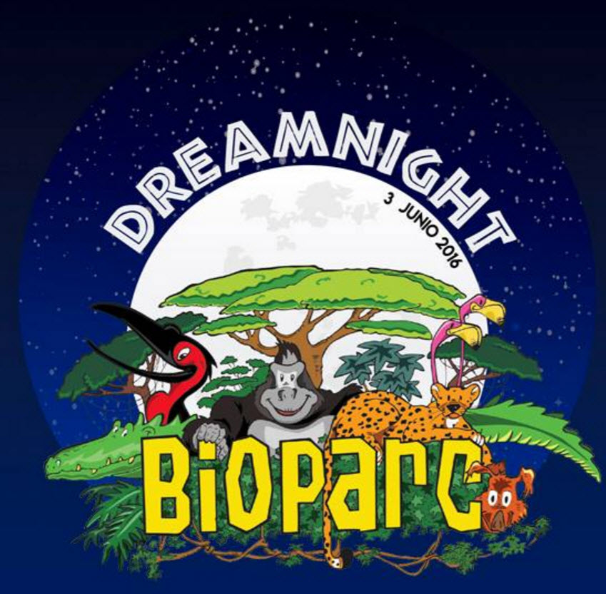 dreamnight