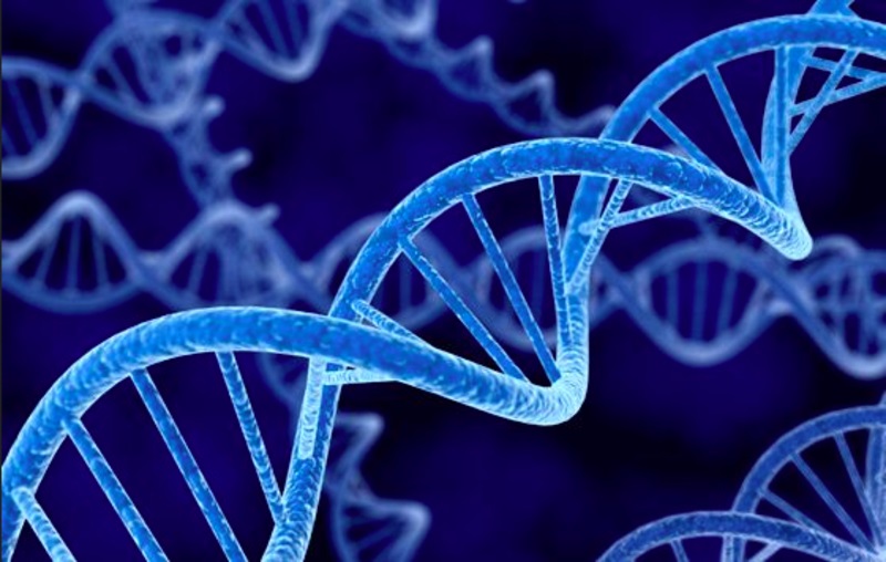Identificado el tercer gen asociado a la enfermedad de Parkinson