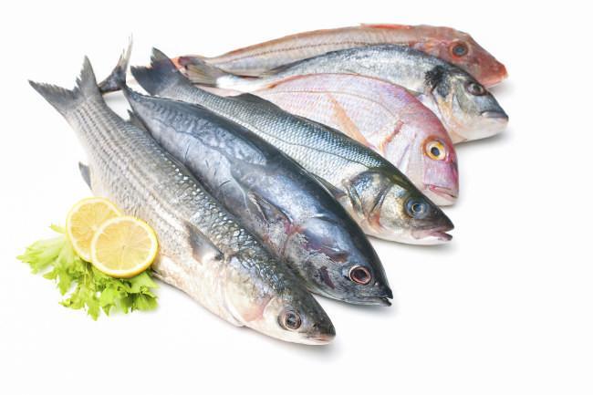 El consumo de pescado disminuye la mortalidad en el cáncer colorrectal