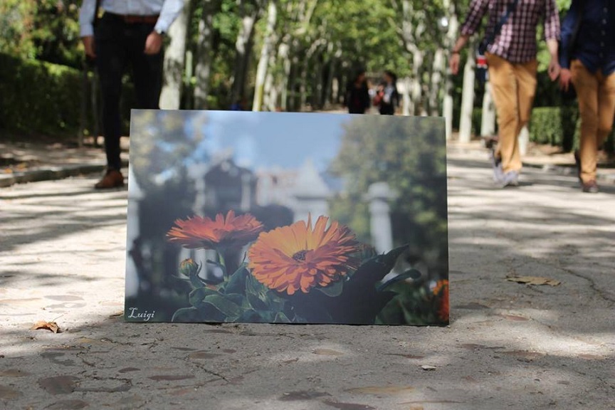 Exposición ‘Enfoques naturales’ a beneficio de la AESIP