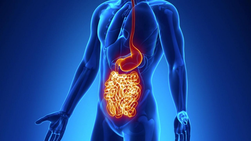 Un estudio identifica dos subtipos diferentes de enfermedad de Crohn