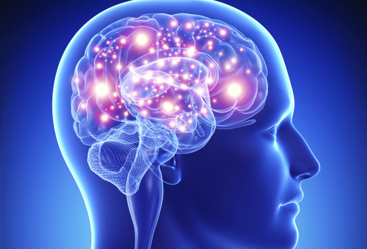 Las fluctuaciones en el ‘colesterol malo’ conllevan una peor función cognitiva