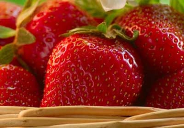 Fresas para las campanadas de fin de año en Huelva a beneficio de la AECC