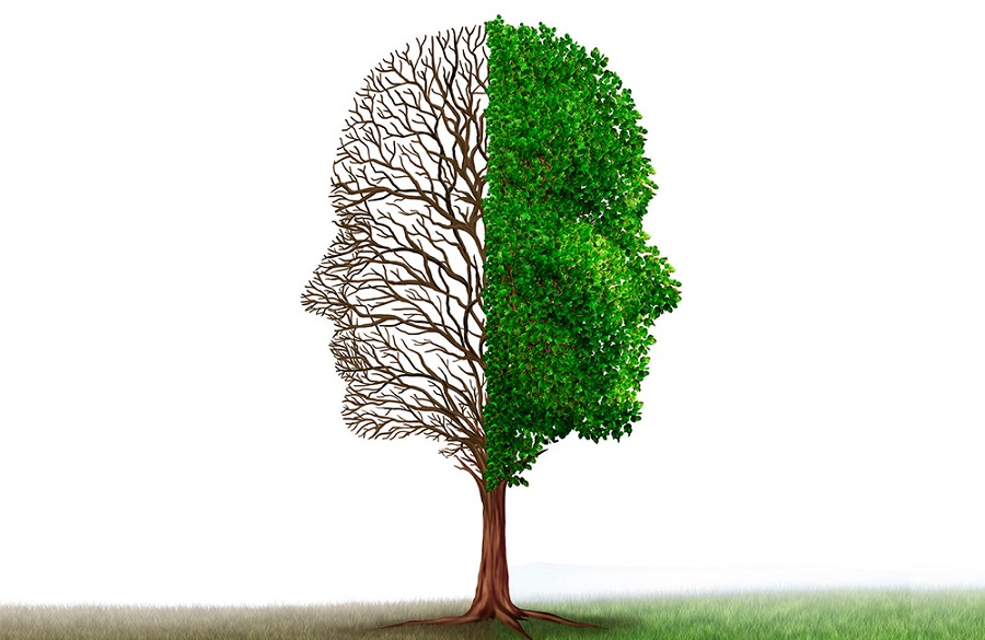 Taller on line para consultar con los expertos las dudas sobre patología dual