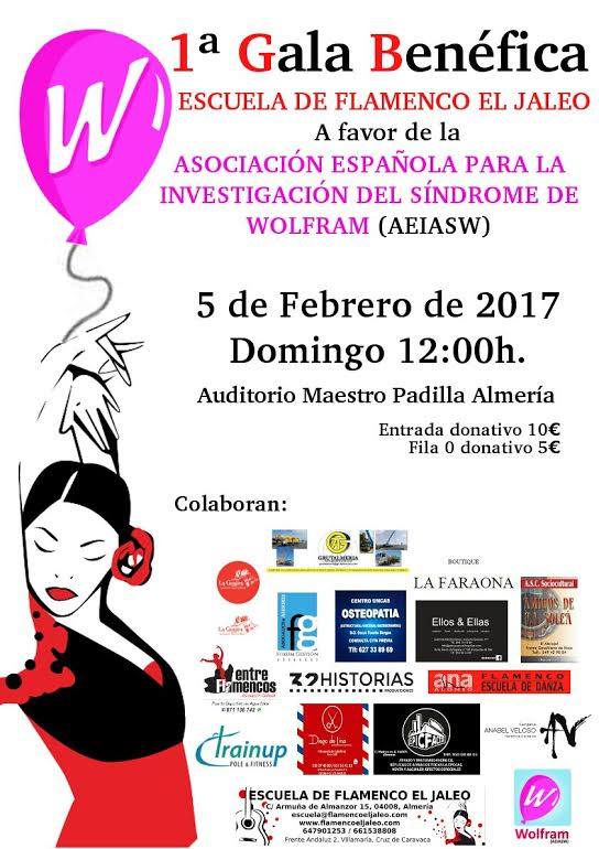 Gala Benéfica Flamenca a favor de la AEIASW, el domingo en Almería