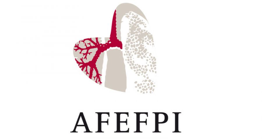 Encuentros informativos de la AFEFPI por toda España para visibilizar la FPI