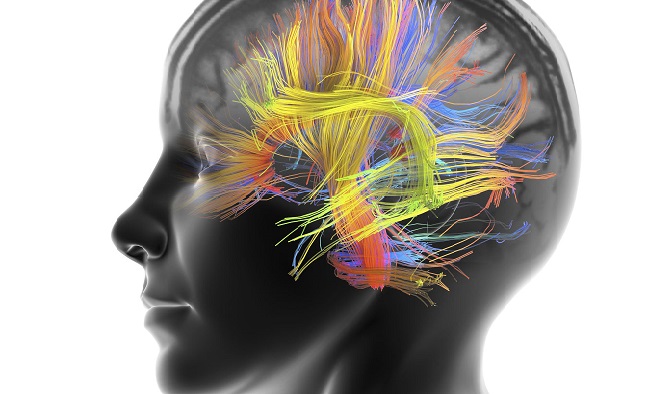 Apuesta por la salud cerebral - encefalitis