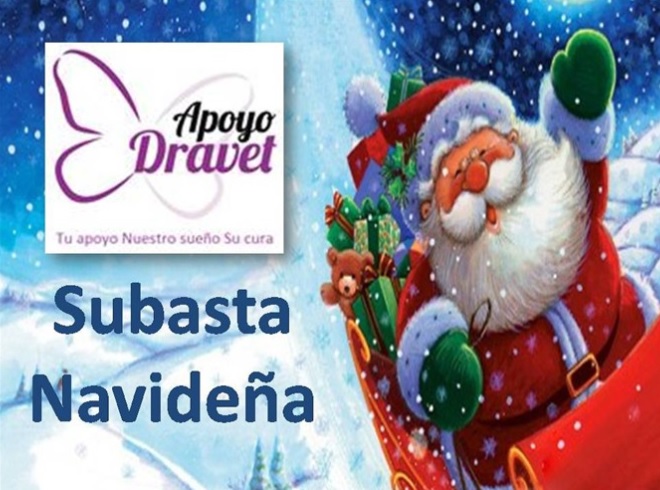 En marcha la Subasta Navideña Solidaria on line de Apoyo Dravet