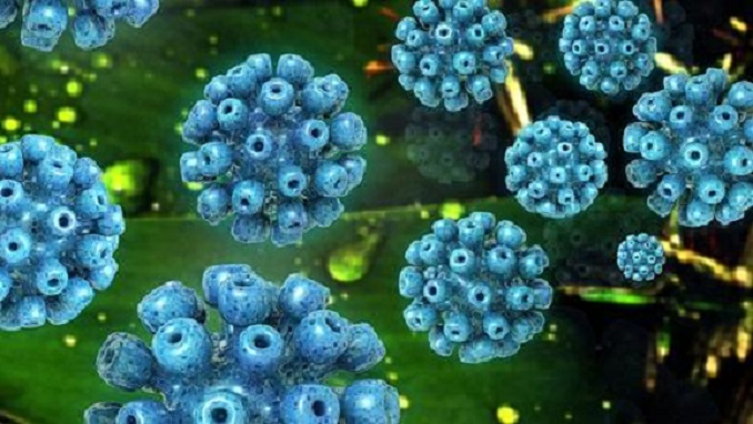 110.674 pacientes han recibido tratamiento de última generación para la hepatitis C
