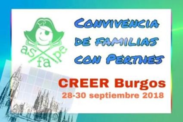 La ASFAPE celebra su ‘Convivencia de Familias con Perthes 2018’ en el CREER