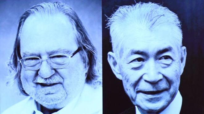 El Nobel premia el descubrimiento de las inmunoterapias frente al cáncer